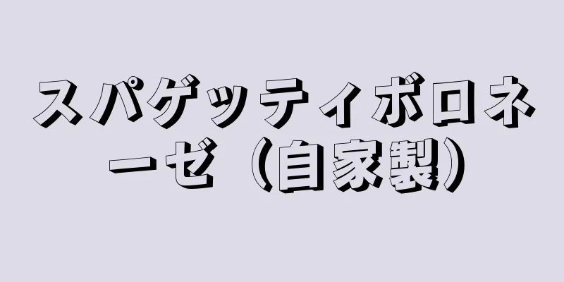 スパゲッティボロネーゼ（自家製）