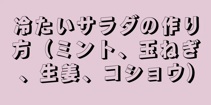 冷たいサラダの作り方（ミント、玉ねぎ、生姜、コショウ）