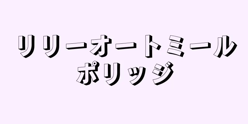 リリーオートミールポリッジ