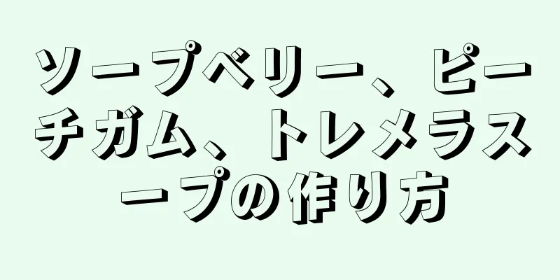 ソープベリー、ピーチガム、トレメラスープの作り方