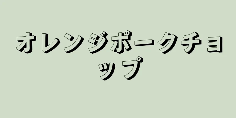 オレンジポークチョップ