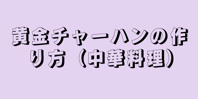 黄金チャーハンの作り方（中華料理）