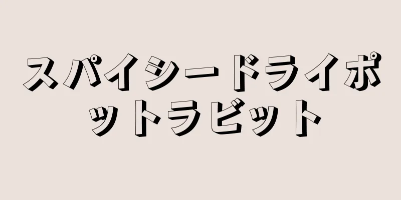 スパイシードライポットラビット