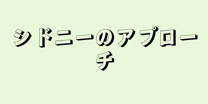 シドニーのアプローチ