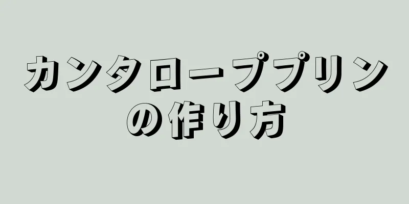 カンタローププリンの作り方