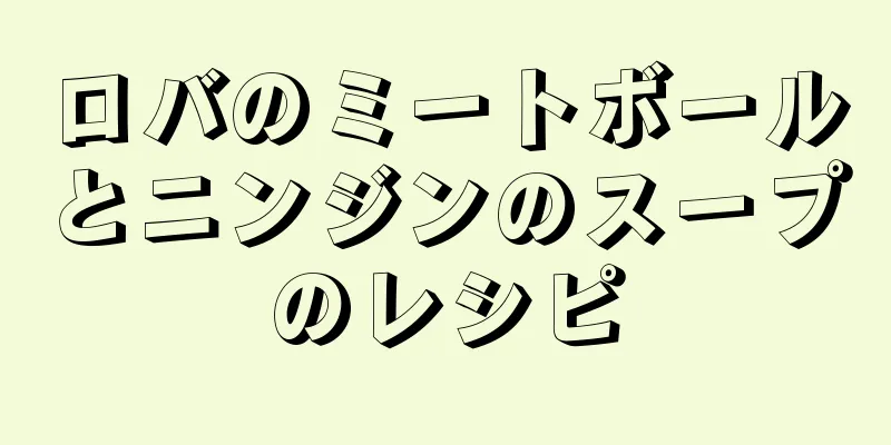 ロバのミートボールとニンジンのスープのレシピ