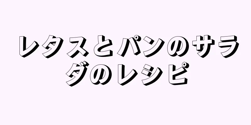 レタスとパンのサラダのレシピ