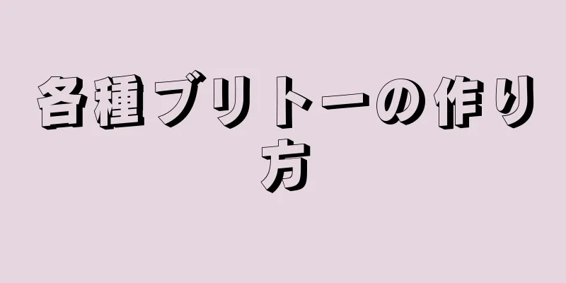 各種ブリトーの作り方