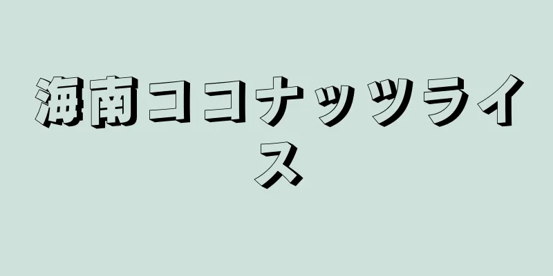 海南ココナッツライス