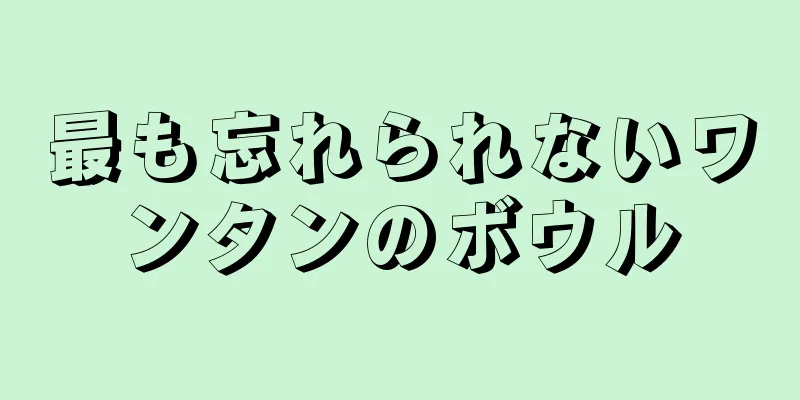 最も忘れられないワンタンのボウル