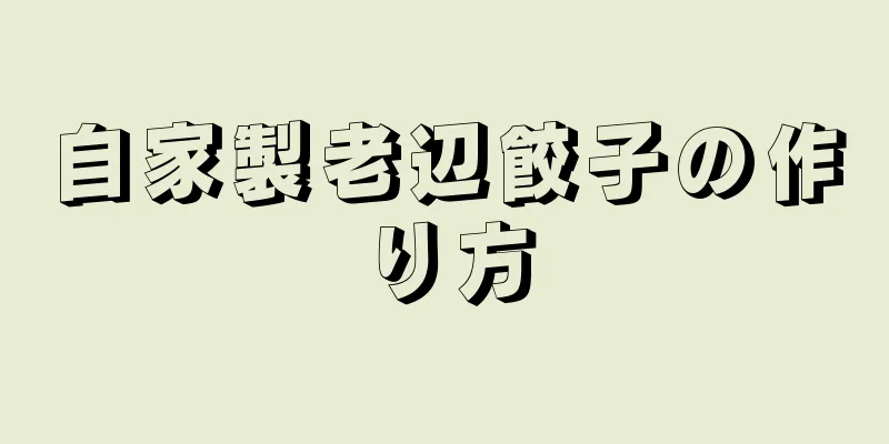 自家製老辺餃子の作り方