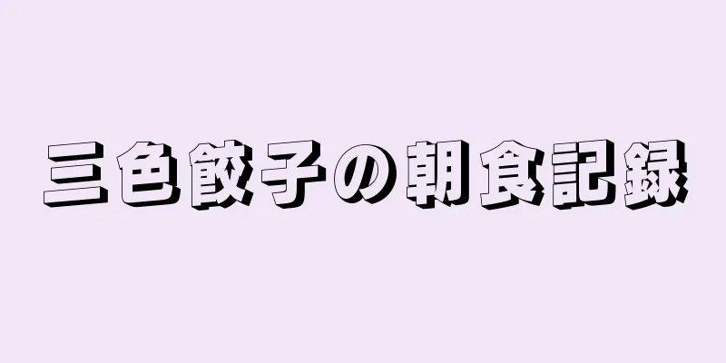 三色餃子の朝食記録