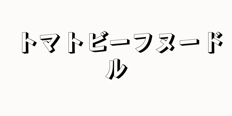 トマトビーフヌードル