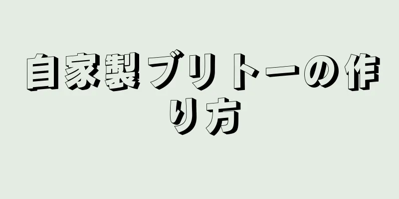 自家製ブリトーの作り方