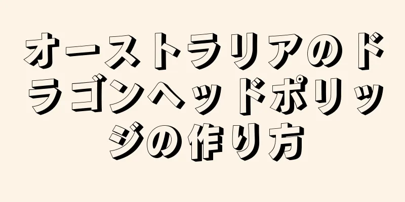 オーストラリアのドラゴンヘッドポリッジの作り方