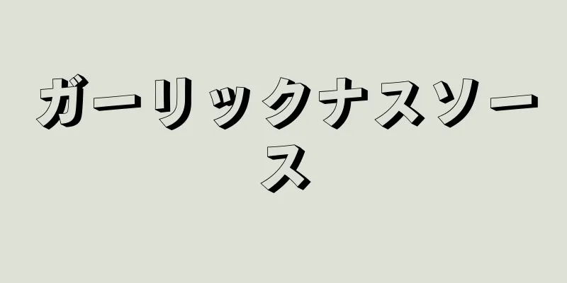 ガーリックナスソース