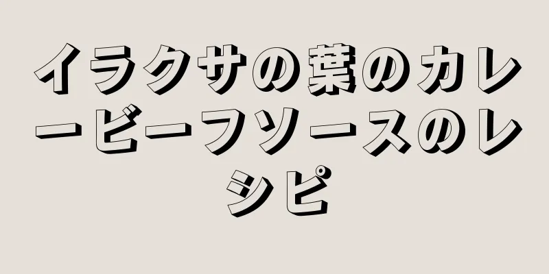 イラクサの葉のカレービーフソースのレシピ