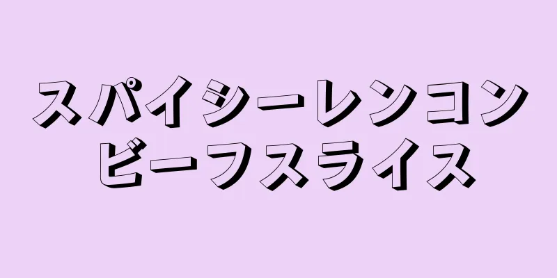 スパイシーレンコンビーフスライス