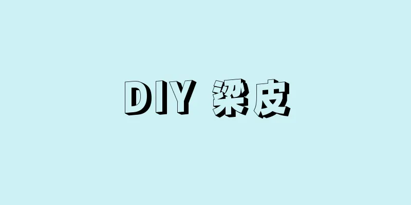 DIY 梁皮