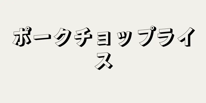 ポークチョップライス