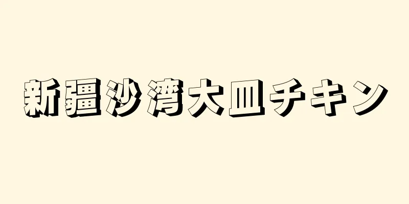 新疆沙湾大皿チキン