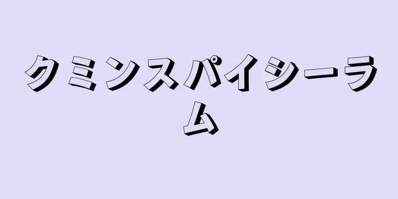 クミンスパイシーラム