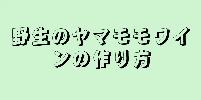 野生のヤマモモワインの作り方