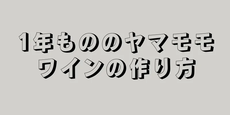 1年もののヤマモモワインの作り方