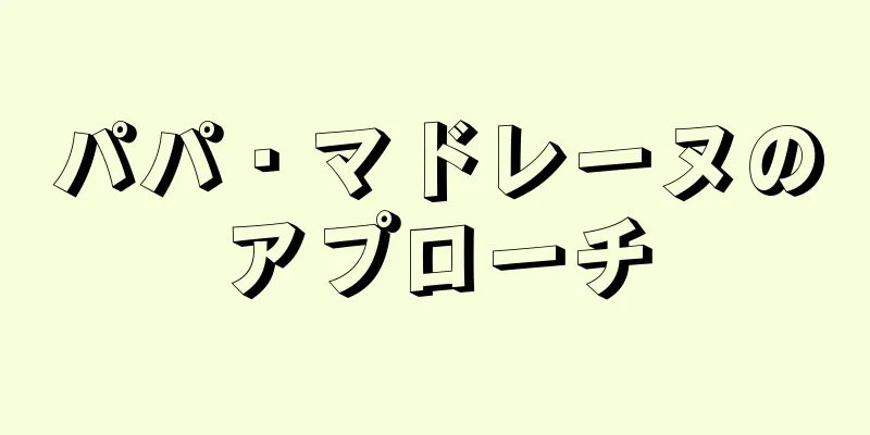 パパ・マドレーヌのアプローチ