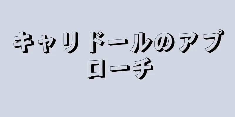 キャリドールのアプローチ