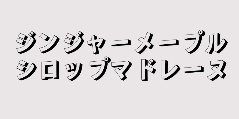 ジンジャーメープルシロップマドレーヌ