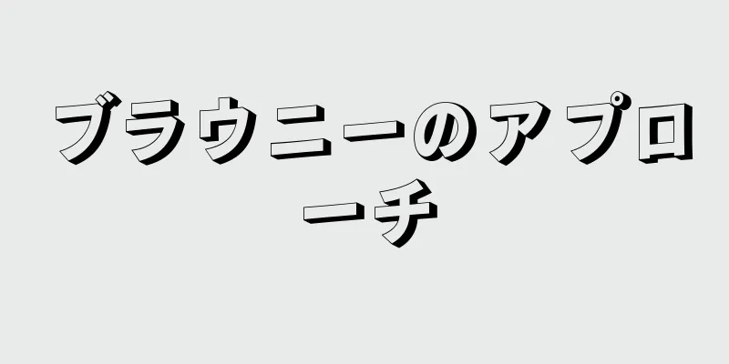 ブラウニーのアプローチ