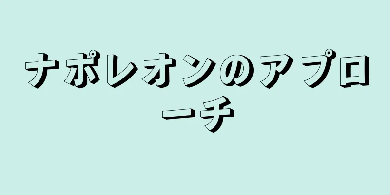 ナポレオンのアプローチ