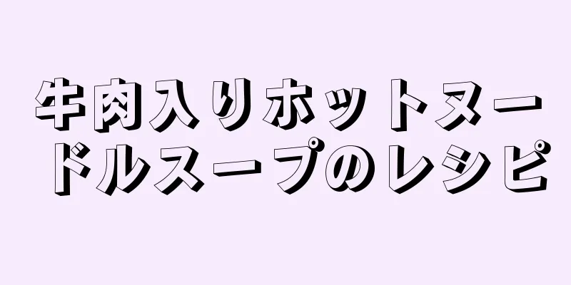 牛肉入りホットヌードルスープのレシピ