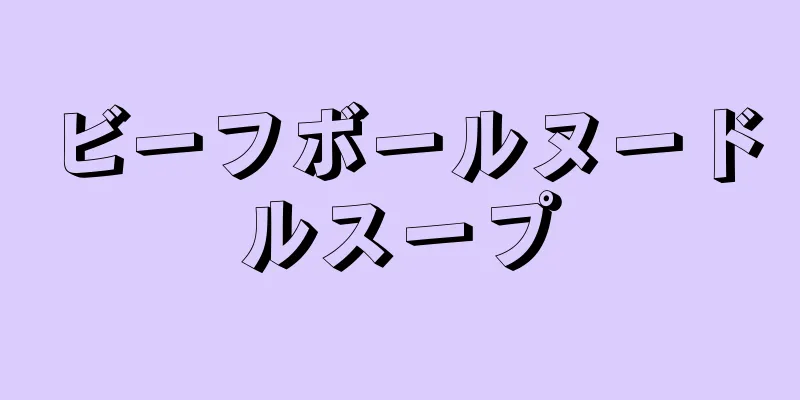 ビーフボールヌードルスープ