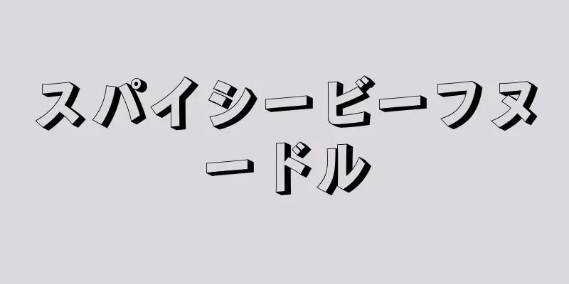 スパイシービーフヌードル