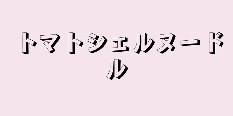 トマトシェルヌードル