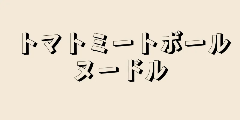 トマトミートボールヌードル