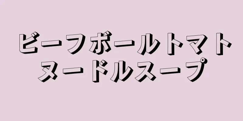 ビーフボールトマトヌードルスープ