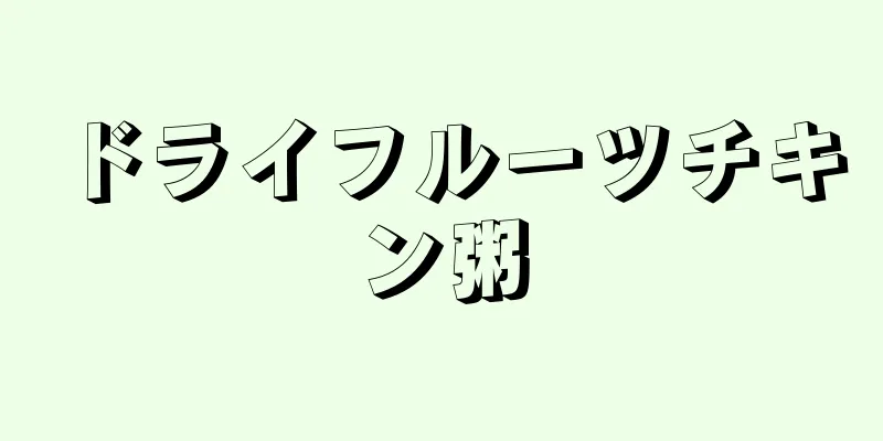 ドライフルーツチキン粥