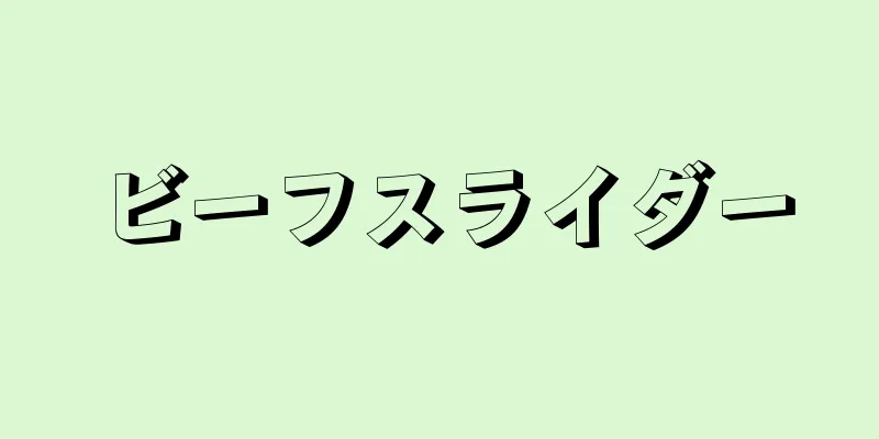 ビーフスライダー