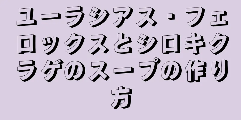 ユーラシアス・フェロックスとシロキクラゲのスープの作り方