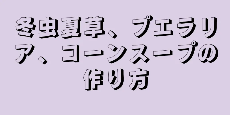 冬虫夏草、プエラリア、コーンスープの作り方