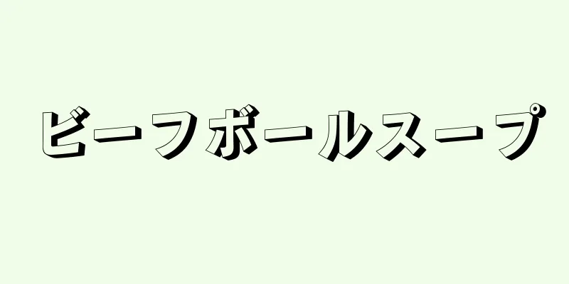 ビーフボールスープ