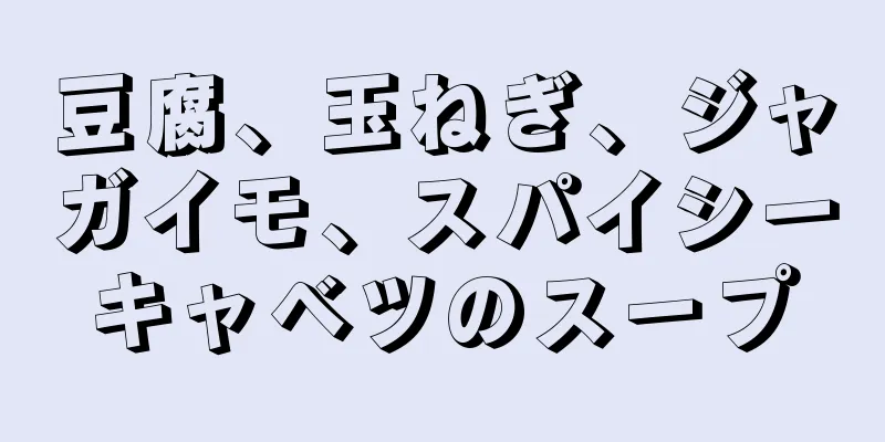 豆腐、玉ねぎ、ジャガイモ、スパイシーキャベツのスープ