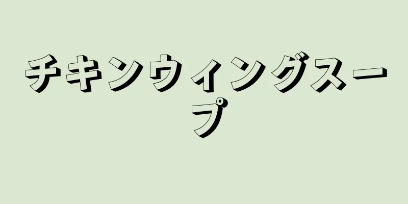 チキンウィングスープ