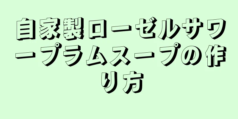 自家製ローゼルサワープラムスープの作り方