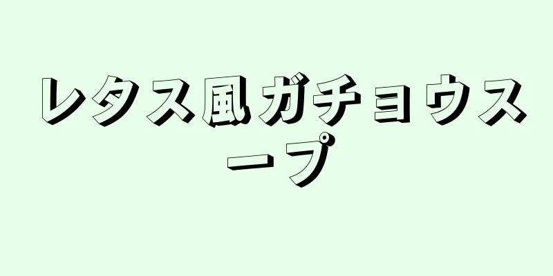 レタス風ガチョウスープ