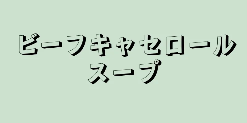 ビーフキャセロールスープ