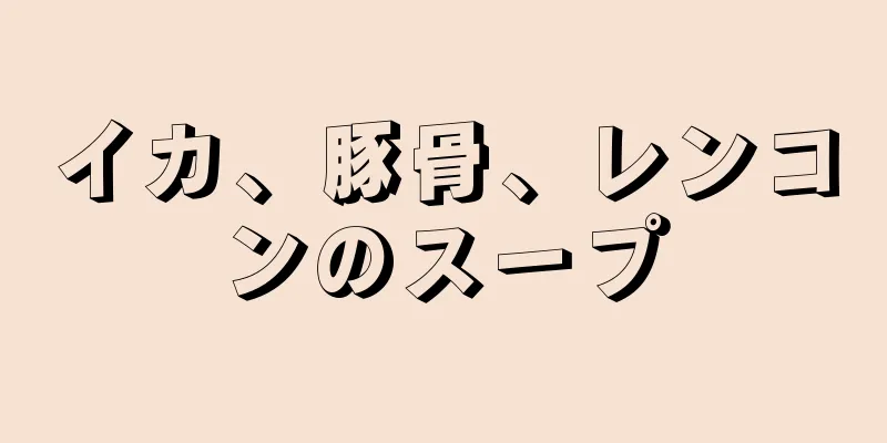 イカ、豚骨、レンコンのスープ